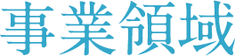 事業領域